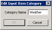 Edit Input Item Category